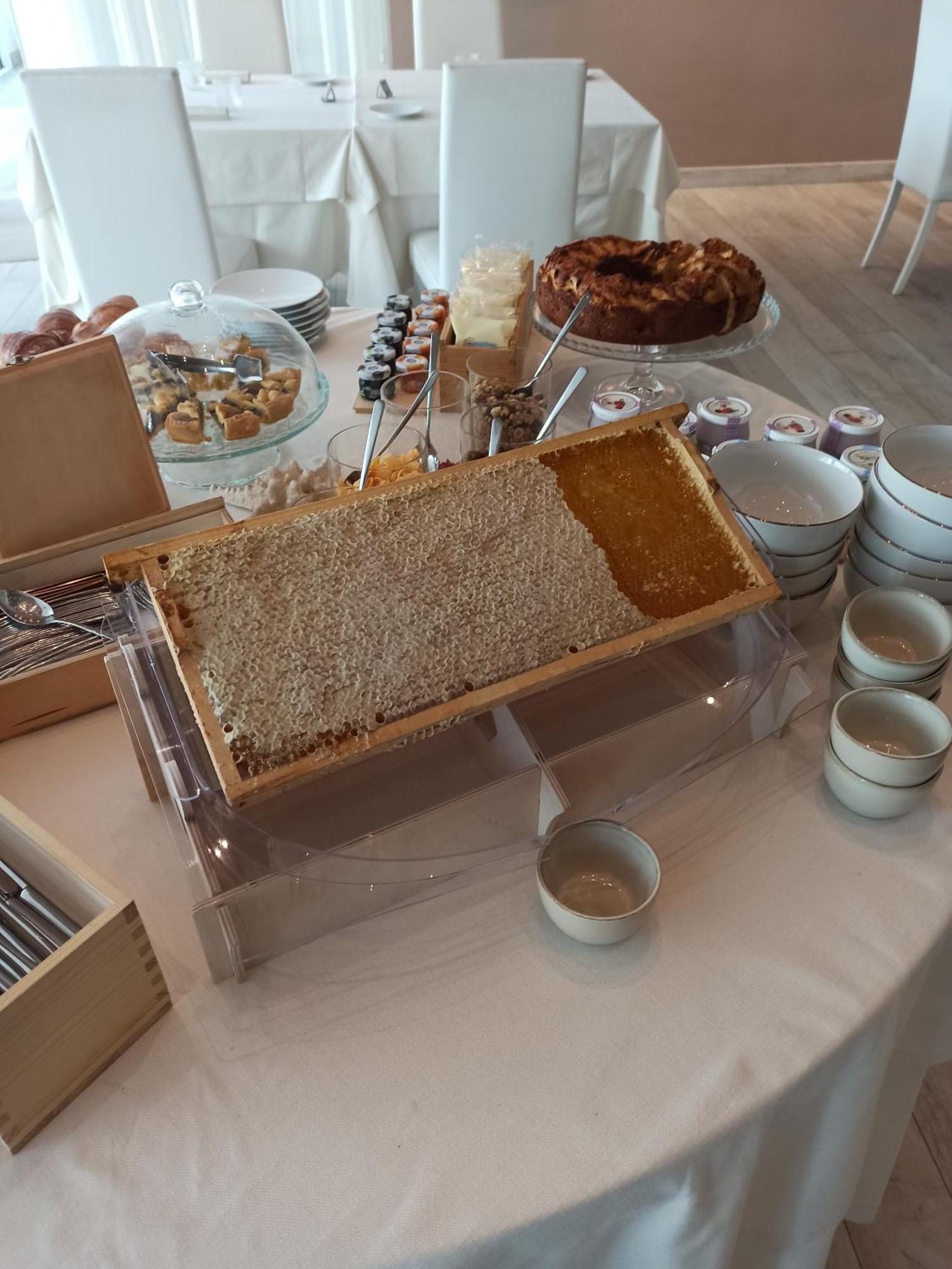 Elite Boutique Hotel 로세토데글리아브루찌 외부 사진